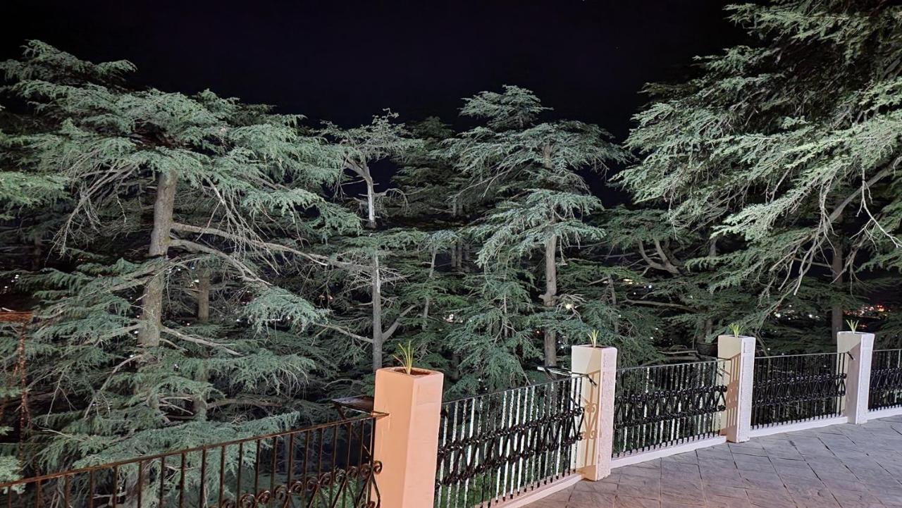 Glen View Heritage Homestay Shimla Exterior foto