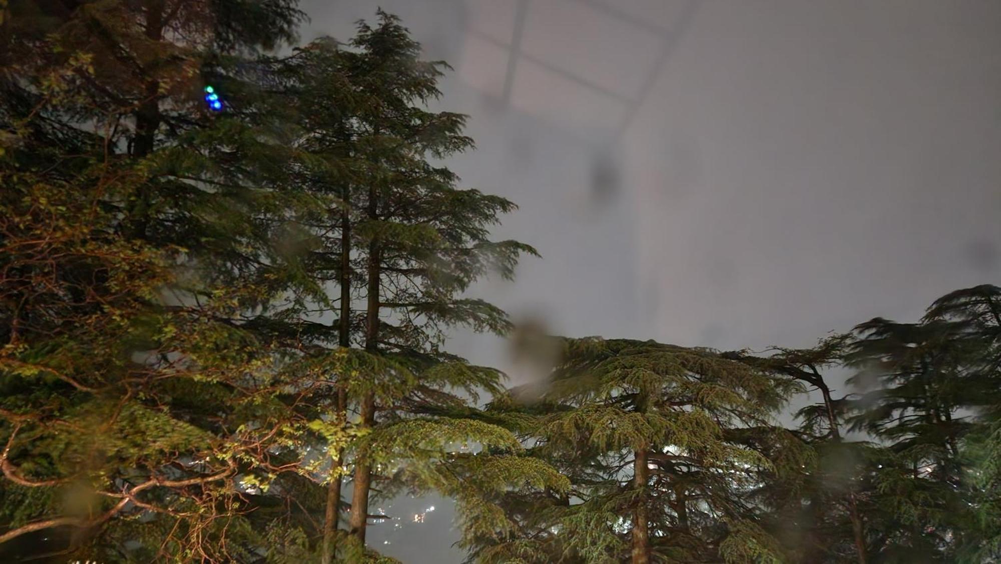 Glen View Heritage Homestay Shimla Exterior foto